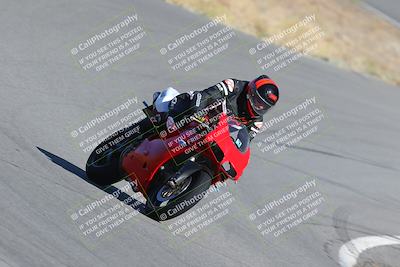 media/Nov-12-2023-Classic Track Days (Sun) [[11f17acb81]]/Group 3/session 2 turn 9/